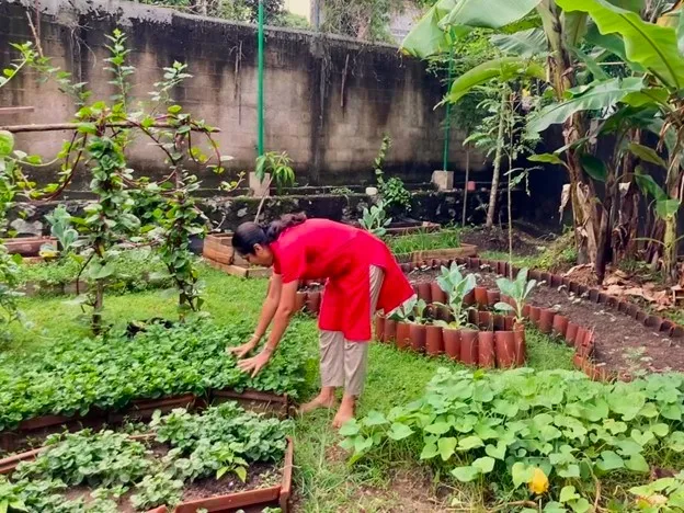 Kanchana Weerakoon explains about the Metta Garden
